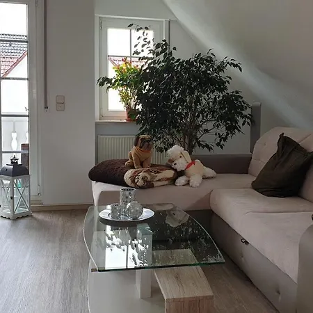 Comfortable Holiday home *